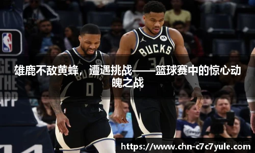 雄鹿不敌黄蜂,遭遇挑战——篮球赛中的惊心动魄之战