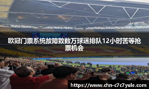 欧冠门票系统故障致数万球迷排队12小时苦等抢票机会