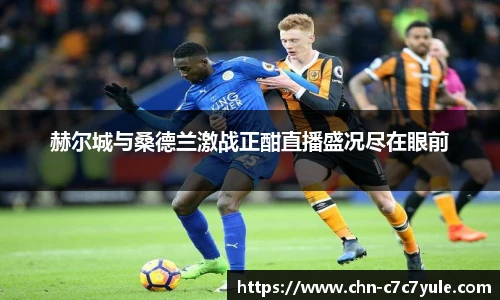 赫尔城与桑德兰激战正酣直播盛况尽在眼前